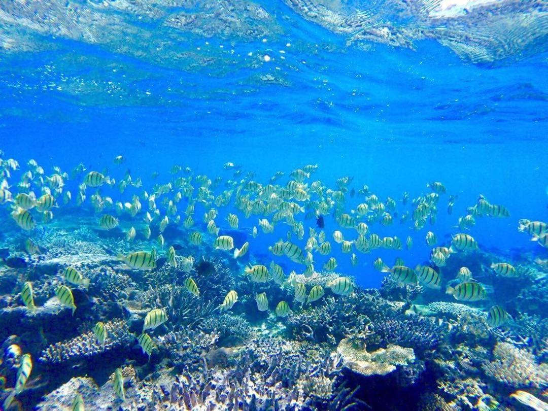 Korovou Eco Lodge Naviti Island 외부 사진